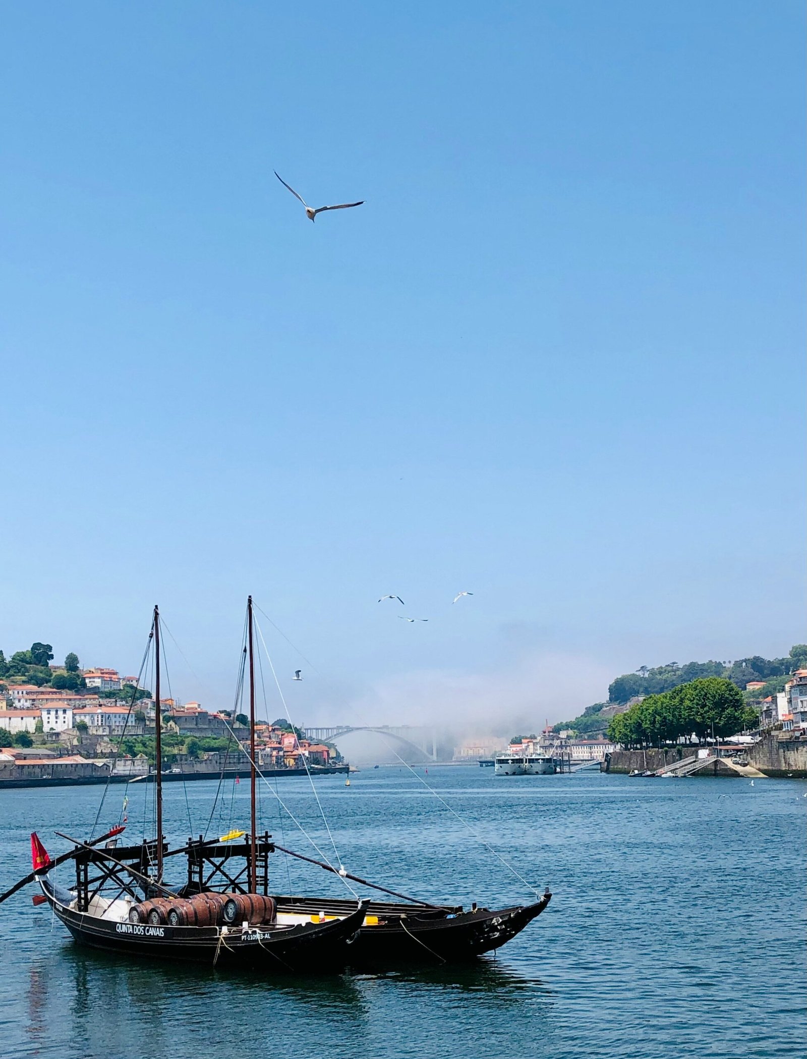 Barco Rabelo Douro: Guia Completo sobre o Barco do Rio Douro