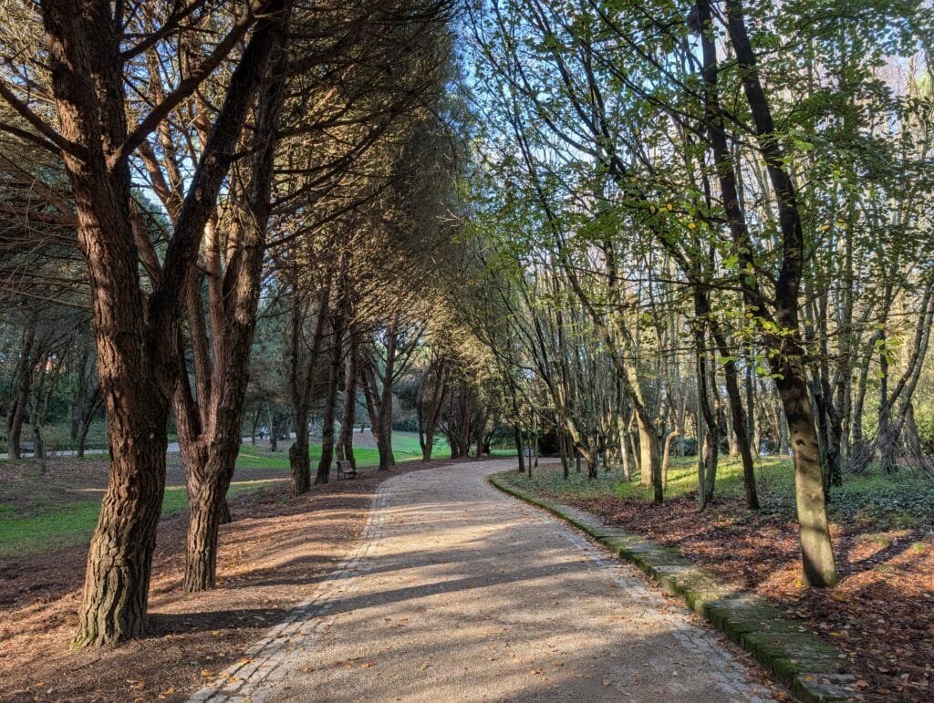 Parque da Cidade do Porto