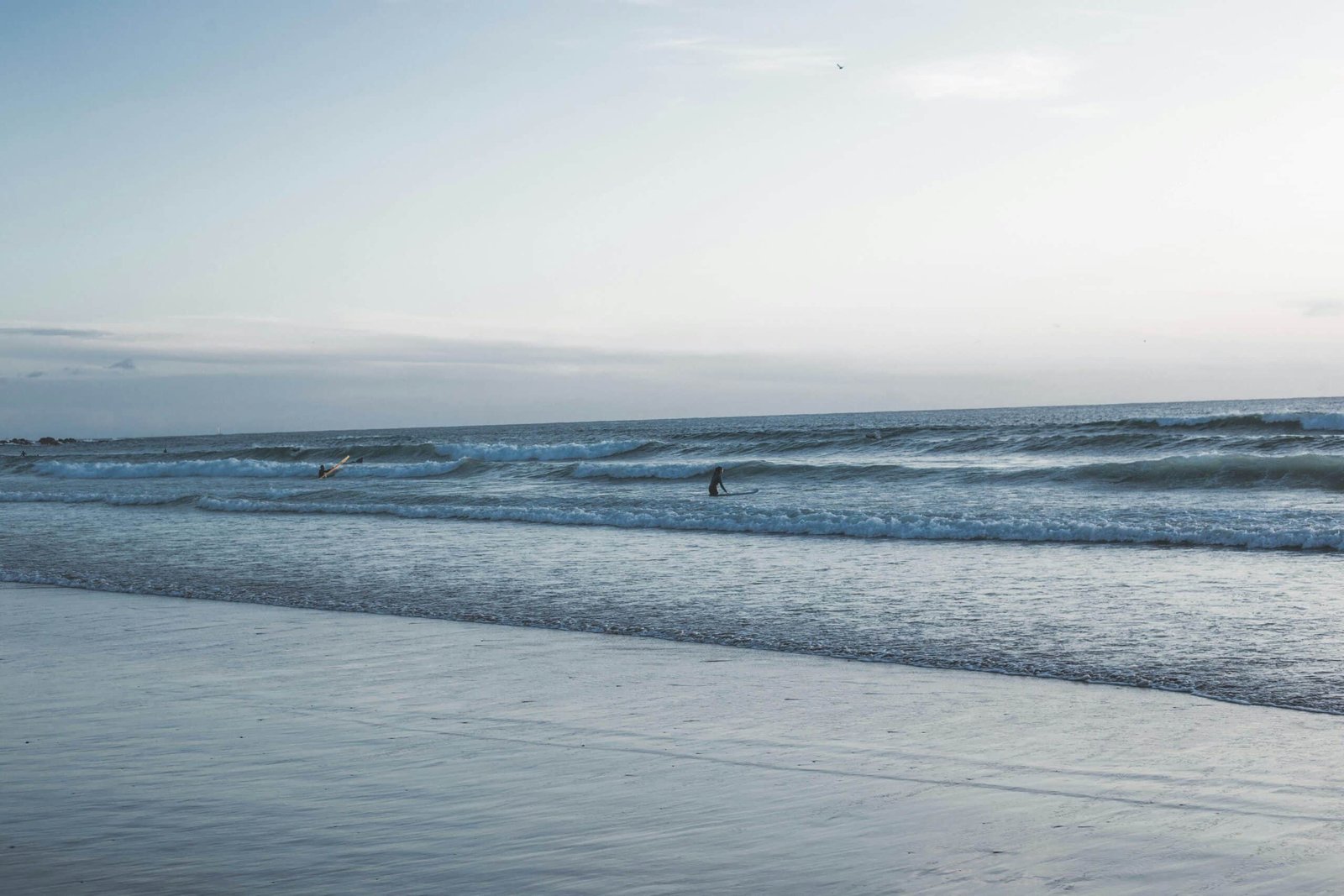 O que ver e fazer em Matosinhos